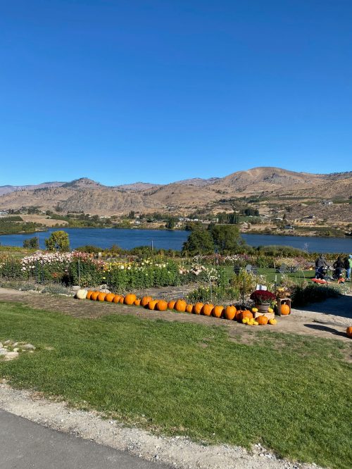 A scenic view of a lake surrounded by hills, with a pumpkin patch in the foreground and clear blue skies.