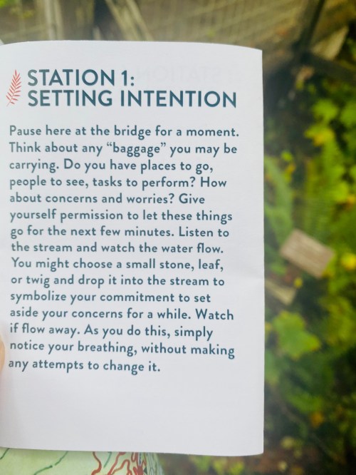 A hand holding a paper with instructions for setting intentions at a bridge, surrounded by greenery.