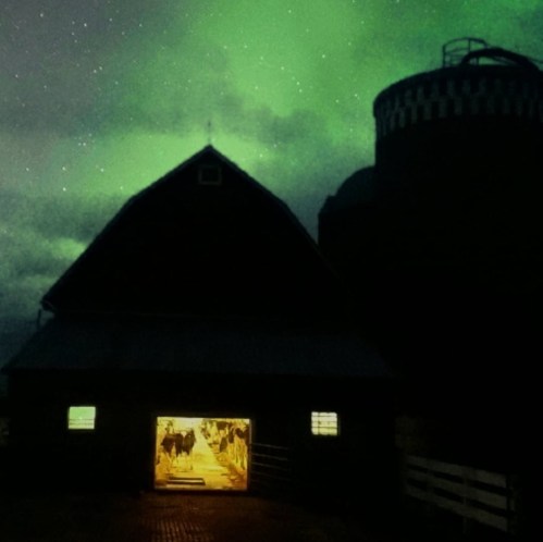 A barn illuminated at night under a starry sky with green auroras above. Cows are visible inside the barn.