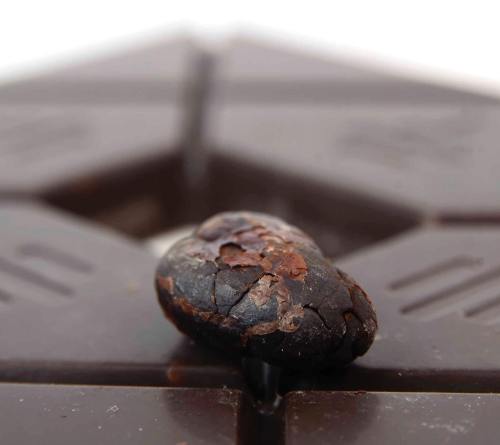 A close-up of a cracked cocoa bean resting on a piece of dark chocolate.