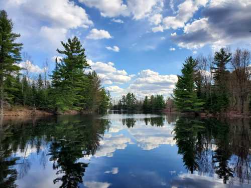 A serene lake surrounded by trees, reflecting a blue sky with fluffy clouds.