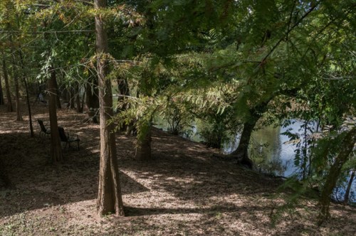 A serene riverside scene with trees, a chair, and fallen leaves, creating a peaceful natural setting.
