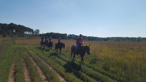 A group of people riding horses along a grassy trail in a sunny, open field.