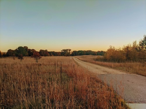 A gravel road stretches through a grassy field, bordered by trees under a clear sky at sunset.