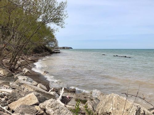 A serene lakeshore scene with rocky shoreline, trees, and calm water under a cloudy sky.