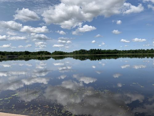 A serene lake reflecting fluffy clouds and blue sky, surrounded by lush greenery.