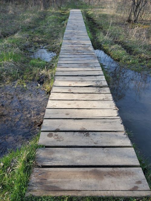 A wooden walkway stretches over a grassy area with puddles on either side, leading into a natural landscape.