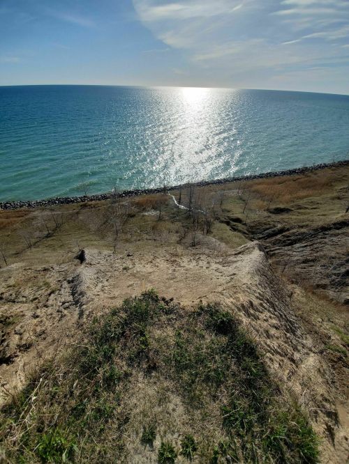 A scenic view of a shoreline with a sparkling blue lake and a clear sky, seen from a grassy hilltop.