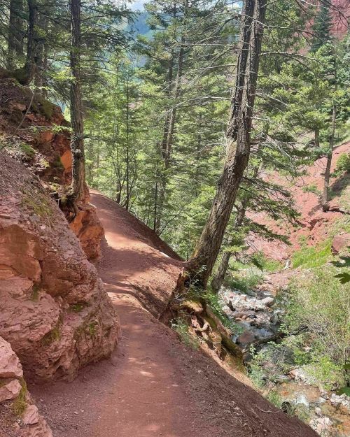 A narrow dirt path winds through a lush forest with tall trees and rocky terrain beside a flowing stream.