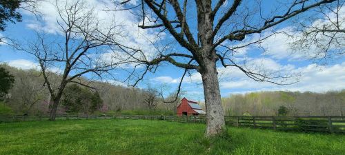A red barn sits in a green field, surrounded by trees and a blue sky with fluffy clouds.