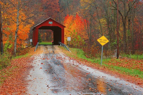 A scenic view of a covered bridge surrounded by vibrant autumn foliage and a winding road covered in fallen leaves.