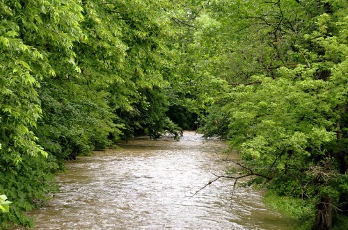 A serene river flows through a lush, green landscape, surrounded by dense trees and foliage.