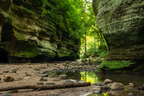 A serene canyon with lush greenery, rocky terrain, and a calm stream reflecting the surrounding cliffs.