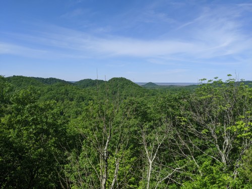 Lush green hills under a clear blue sky, with a panoramic view of a forested landscape.