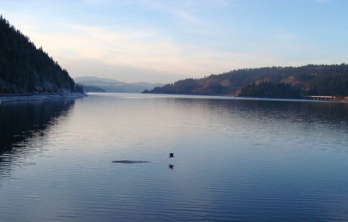 A serene lake surrounded by mountains, with gentle ripples and a lone bird swimming in the calm water.