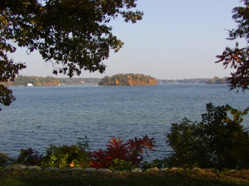 A serene lake view with an island in the distance, surrounded by autumn foliage and clear blue skies.