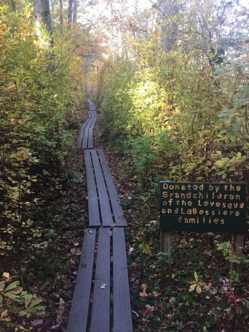 A wooden path through a colorful autumn forest, with a sign honoring the Lovesque and Labossiere families.
