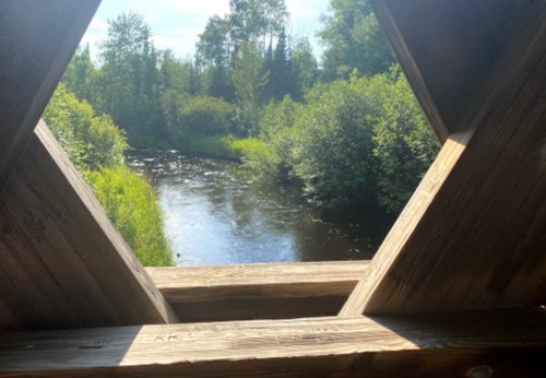 View of a serene river surrounded by lush greenery, framed by wooden beams.