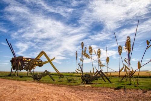 Large metal sculptures of grasshoppers and wheat stalks against a blue sky, set in a rural landscape.