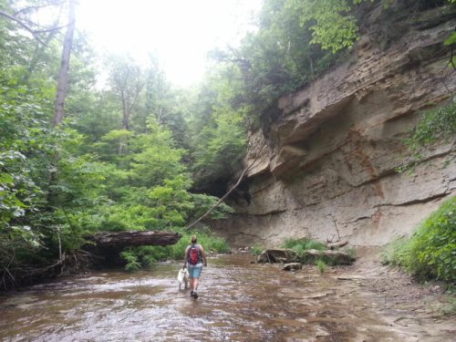 A person walks through a shallow stream surrounded by lush green trees and steep rock formations.