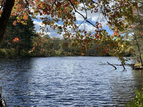 A serene lake surrounded by trees with autumn leaves, under a partly cloudy sky.