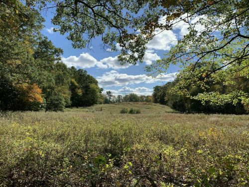 A wide, open field surrounded by trees under a blue sky with fluffy clouds, showcasing autumn colors.