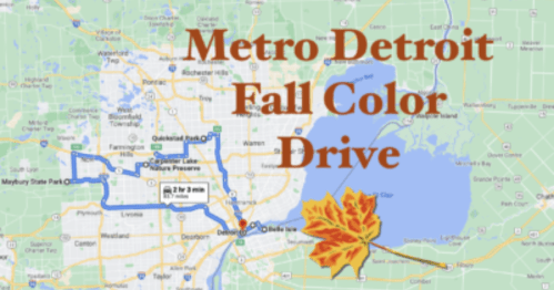 Map of Metro Detroit highlighting a fall color drive route, featuring a decorative autumn leaf.