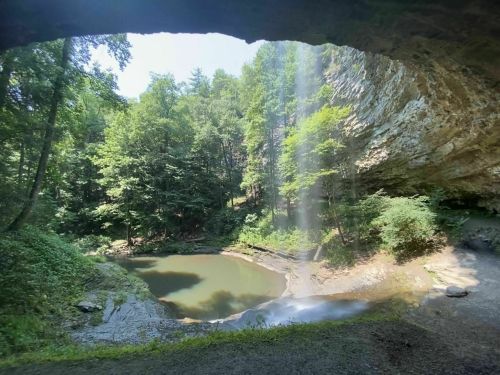 A serene view from a cave opening, showcasing a lush forest and a small pond with a waterfall in the background.