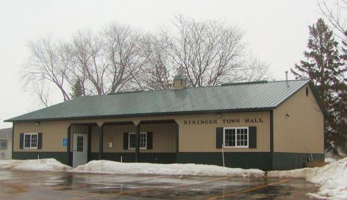 Nininger Town Hall, a single-story building with a green roof, surrounded by snow and trees on a cloudy day.