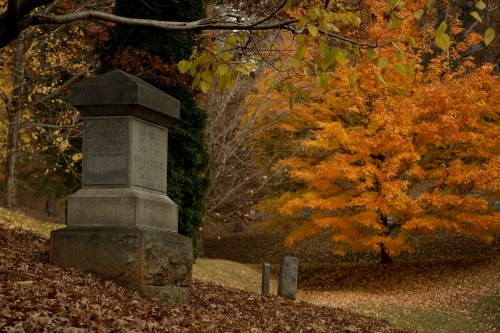 A weathered gravestone surrounded by autumn leaves and a vibrant orange tree in the background.