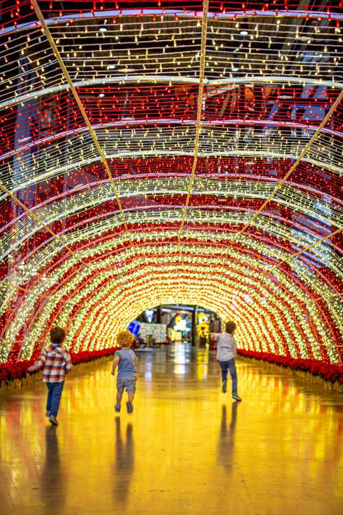 Three children run through a brightly lit tunnel of red and white holiday lights, creating a festive atmosphere.