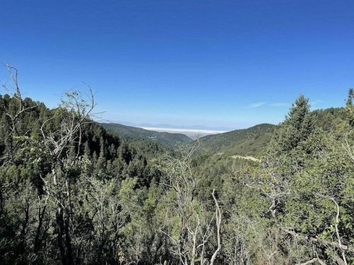 A panoramic view of a lush green valley surrounded by mountains under a clear blue sky.