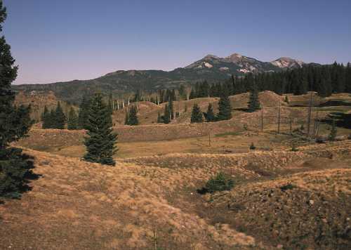 A scenic landscape featuring rolling hills, evergreen trees, and distant mountains under a clear blue sky.