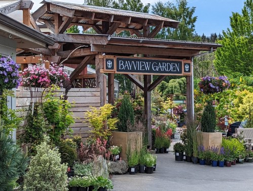 A garden center entrance with a sign reading "Bayview Garden," surrounded by various plants and flowers.