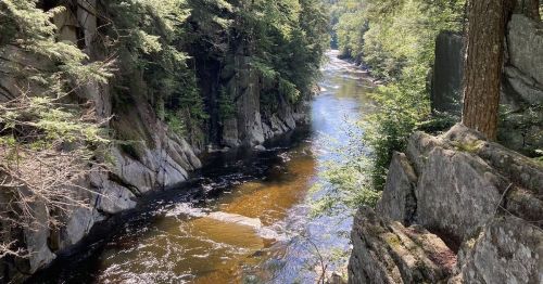 A serene river flows through a rocky landscape, surrounded by lush green trees and sunlight filtering through the foliage.