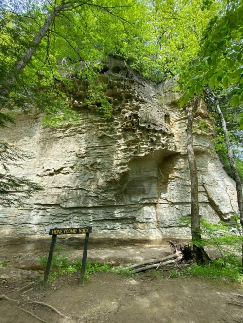 A rocky cliff with textured surfaces, surrounded by green trees, and a sign reading "Honeycomb Rock" in the foreground.
