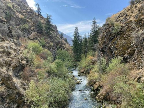 A serene river flows through a lush canyon, surrounded by green trees and rocky cliffs under a clear blue sky.