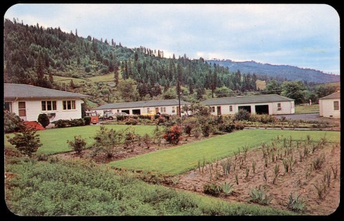 A scenic view of a garden with rows of plants, surrounded by buildings and lush green hills in the background.