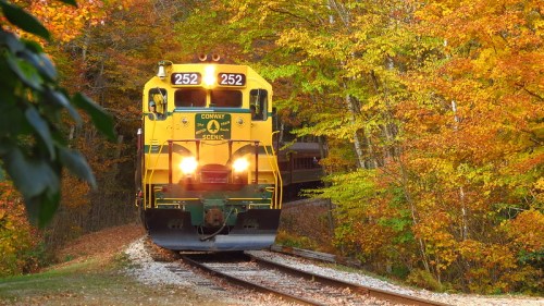 A yellow train approaches on a track surrounded by vibrant autumn foliage.
