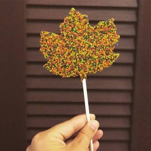 A hand holds a colorful, candy-coated maple leaf on a stick against a wooden background.
