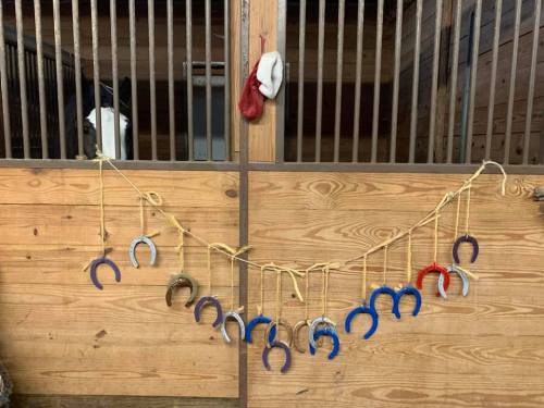 A row of horseshoes hanging on a rope inside a wooden barn, with a red glove and white hat in the background.