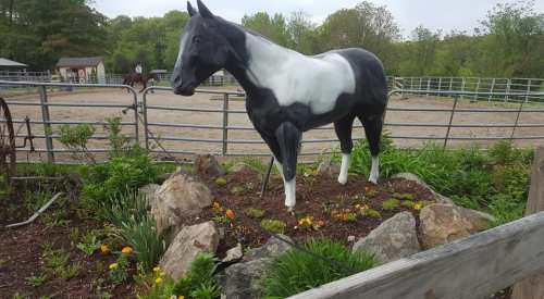 A life-sized black and white horse statue stands among flowers and rocks in a fenced area with a riding arena in the background.
