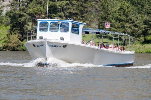 A white boat with passengers cruises on a river, surrounded by greenery and trees. An American flag is visible.