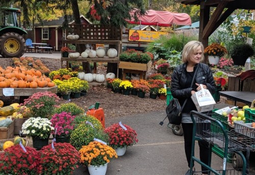A woman stands among colorful flowers and pumpkins at a market, with a tractor and vendor stalls in the background.