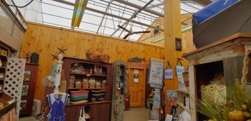 A cozy shop interior with wooden walls, shelves filled with various items, and a bright skylight above.