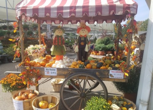 A festive market cart displays pumpkins, gourds, and autumn decorations, with scarecrow figures on either side.