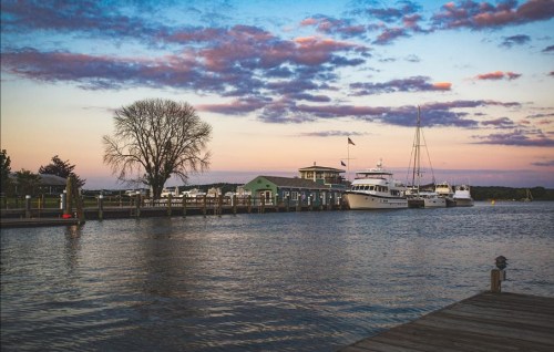 A serene waterfront scene at sunset, featuring boats docked by a pier and a tree against a colorful sky.