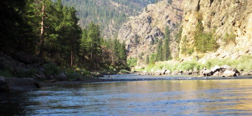 A serene river flows through a rocky canyon, surrounded by lush green trees and mountains in the background.