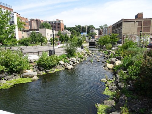 A serene urban stream surrounded by greenery and rocks, with buildings in the background under a clear blue sky.