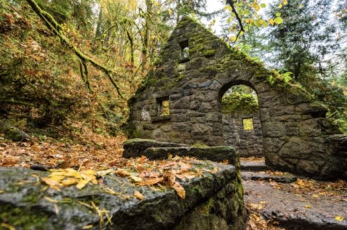 Ruins of a stone structure covered in moss, surrounded by autumn foliage and trees in a forest setting.